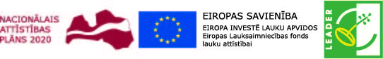 logo kopa
